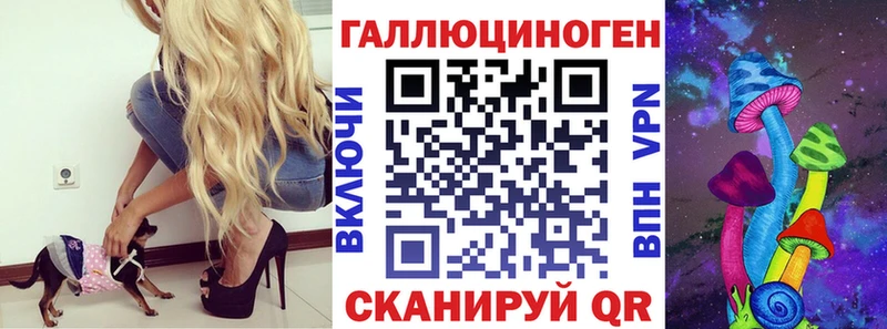 что такое наркотик Нововоронеж Псилоцибиновые грибы Psilocybe