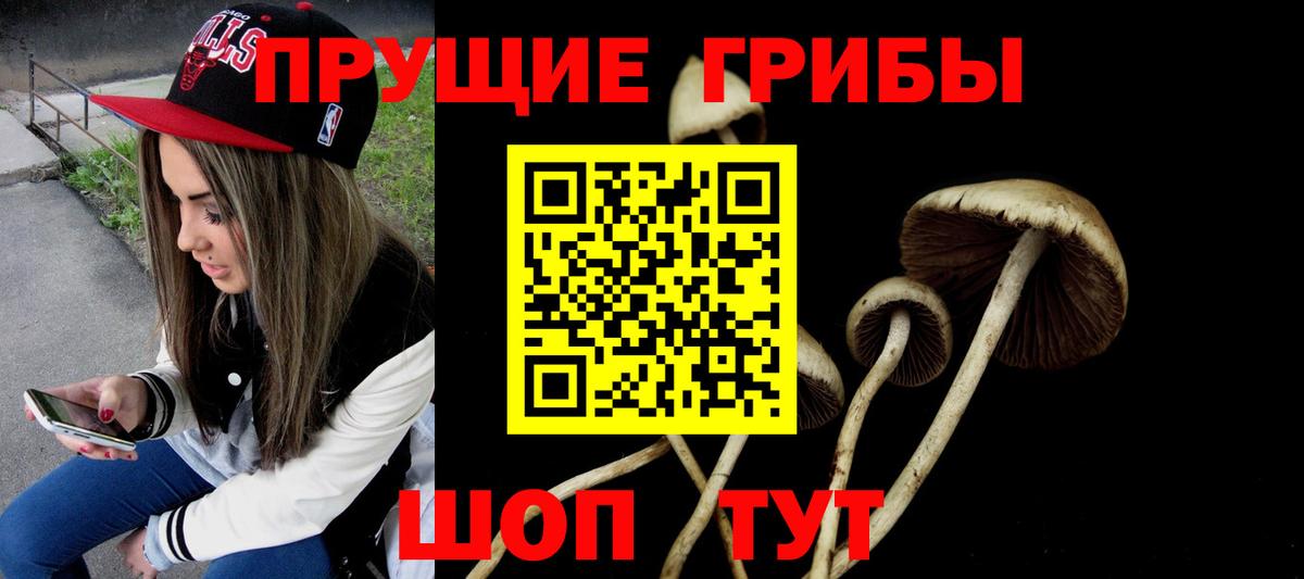 Псилоцибиновые грибы прущие грибы  Псилоцибиновые грибы Magic Shrooms  Нововоронеж 
